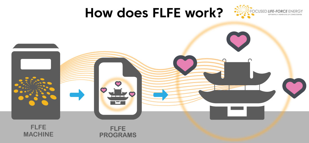 How-does-FLFE-Work-5-2